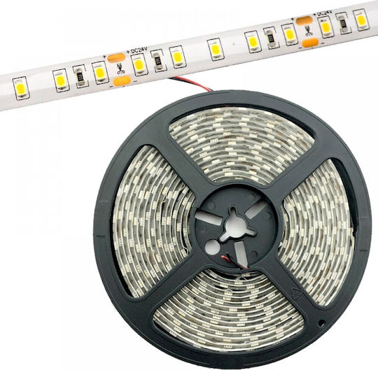 Avide Waterproof LED Strip ABLS24V2835-120NW65 24V Natural White Light 5m Type SMD2835
