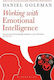 Working with Emotional Intelligence
