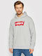 Graphic Sweatshirt with Hood Gray