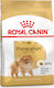 Royal Canin Pomeranian Adult 1.5kg Dry Food Gluten-Free for Adult Small Breed Dogs with Vegetables, Poultry and Rice
