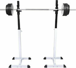 vidaXL Barbell Rack for Weight Bars