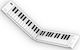 Blackstar Tastatur BA203012-Z mit 49 Tasten Standard Berührung Weiß
