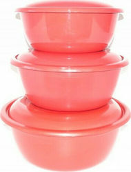 Plastic basin Red Set- 3TEM