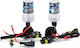 Lamps Car H3 Xenon 8000K Cold White 9-16V 55W 2pcs