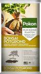 Φυτόχωμα Pokon για Μπονσάι 5lt 06.01.0019