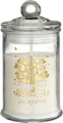 Palma Emporio Wedding Favor Decorative 40 Pieces