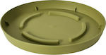 Plastona 10.01.00C20OG Round Plate Pot Green 14.7x14.7cm