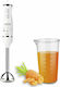 Hoomei Handmixer mit Inox-Stab 350W Weiß