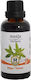 Herbstore Tincture Verbena Tincture 50ml