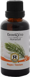 Herbstore Βάμμα Βάμμα Εκουϊζέτο 50ml Herbstore Βάμμα Βάμμα Εκουϊζέτο 50ml