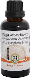 Herbstore Τσουκνίδα Μίγμα Βαμμάτων για Αποτοξίνωση Εξομάλυνση Λεμφικού σε Υγρή Μορφή
