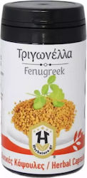 Herbstore Fenugreek 350mg 100 Vegetable Capsules Herbstore Fenugreek 350mg 100 Vegetable Capsules