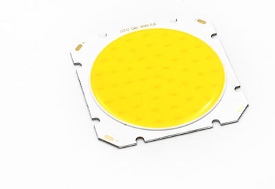 Adeleq LED Chip 25W Alb rece 1buc 21-251