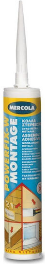 Mercola Powerfix W Montage 280ml 1Stück