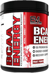 EVL BCAA Energy 288gr Fruit Punch
