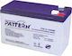 Pattern Battery PT9-12 Μπαταρία UPS με Χωρητικό...