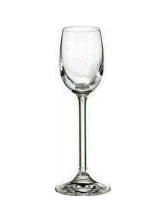Max Home Colibri Ποτήρι Λικέρ/Ούζο από Κρύσταλλο Κολωνάτο 65ml