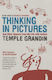 Thinking Pictures