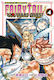 Fairy Tail Vol. 1