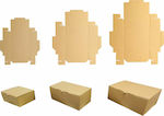 3D Packaging Box Pack of 100 pieces