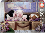 Puppies Puzzle 2D 500 Pieces