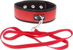 Guilty Pleasure Collar & Leash