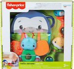 Fisher Price Animal Hello Senses Play Kit with Music for 3++ Months