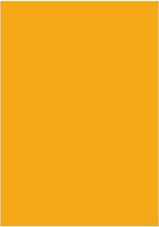 The Littlies Canson Cardboard 50x70cm Orange