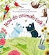 How Do Animals Talk?, Първи въпроси и отговори