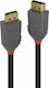 Lindy Cable DisplayPort male - DisplayPort male 1m Black (36481)