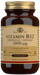 Solgar Vitamin B12 Sublingual Chewable Vitamin for Energy & Immune System Boost 250 chewable tabs