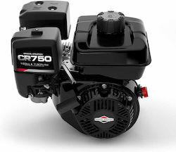 BRIGGS&STRATTON CR750 6HP Motor Kegel