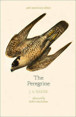 The Peregrine, Ausgabe Zum 50. Jahrestag (Gebundene Ausgabe)