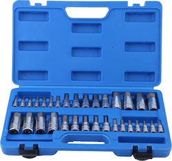 Socket with Motor Allen and Socket 1/4'' Set 32pcs