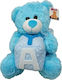 Plush Bear με Κύβο 25 cm