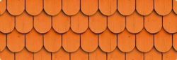 Exas Paper Karton 50x68cm Orange