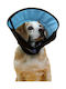 Kvp Calmer Dog Collar in Blue color M 20cm
