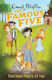 The Famous Five, 14: Five Have Plenty of Fun