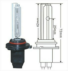 Lampen Auto HB3-9005 Xenon 6000K Kaltes Weiß 12V 1Stück