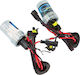 Lamps Car H7 Xenon 6000K Cold White 12V 35W 2pcs