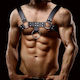 IntoYou Quovis Light Chest Bondage Harness For Men Schwarz