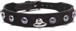 Devil Sticks Octane Crystal Collar Collar in Black Color