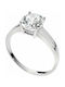 Morellato Single Stone from Steel