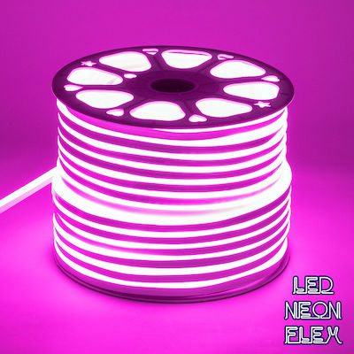 GloboStar Rezistentă la apă Bandă Neon Flex LED Alimentare 220V cu Lumină Magazin online Lungime 1m și 120 LED-uri pe Metru
