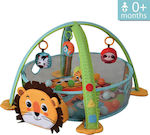 Bebe Stars Sală de Activități Lion Multicolor pentru 0++ Luni (LxlxÎ) 90x72x53cm