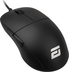 Endgame Gear XM1 RGB