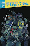 Teenage Mutant Ninja Turtles, Reborn, Vol. 1 - From The Ashes