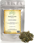 Nostos Pure Green Tea 1000gr