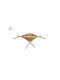 Home Lighting Xena Πλαφονιέρα Οροφής 61εκ. Χρυσή με Ενσωματωμένο LED