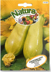 PUMPKIN SEEDS WHITE- NATURA